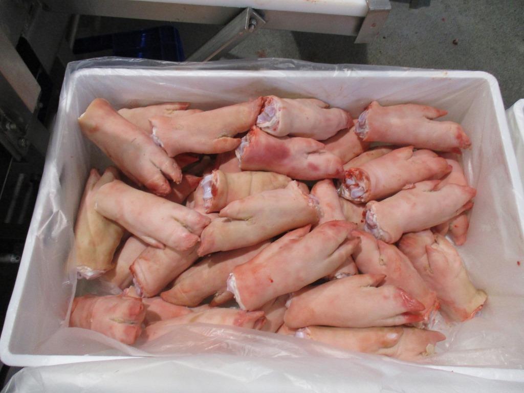 FROZEN PORK FRONT FEET