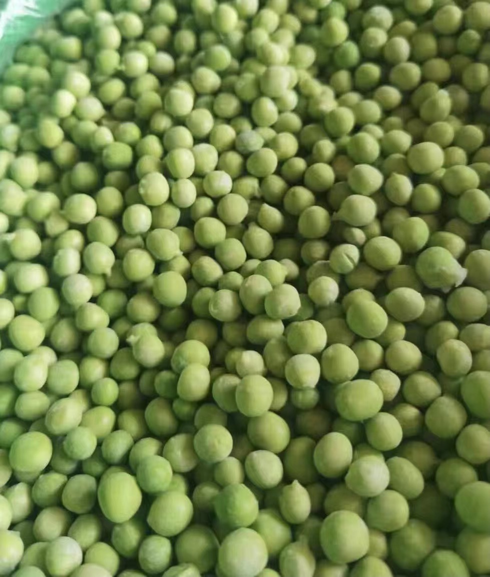 FROZEN GREEN PEA