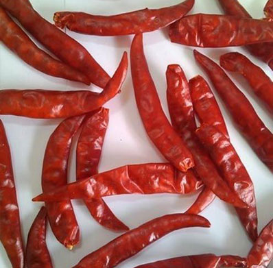 Dry Red Chilli With Stem