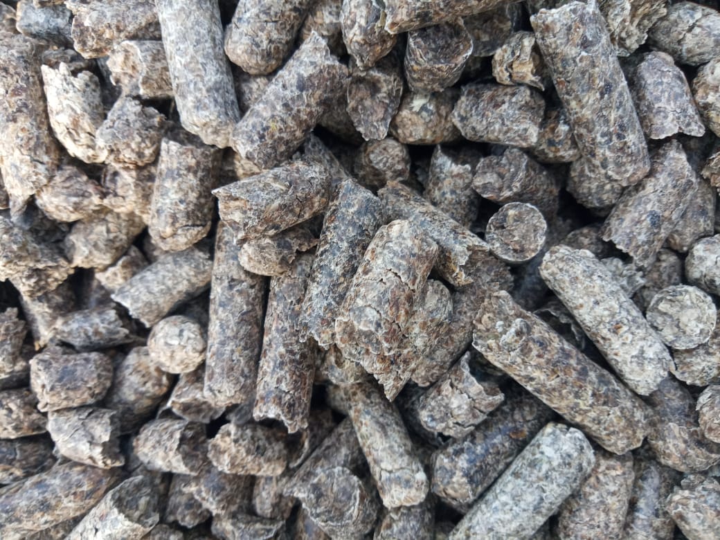 Sugar beet pulp