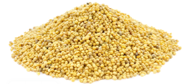 Mustard seed