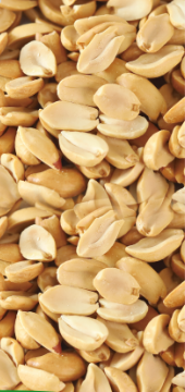 roasted peanut kernels