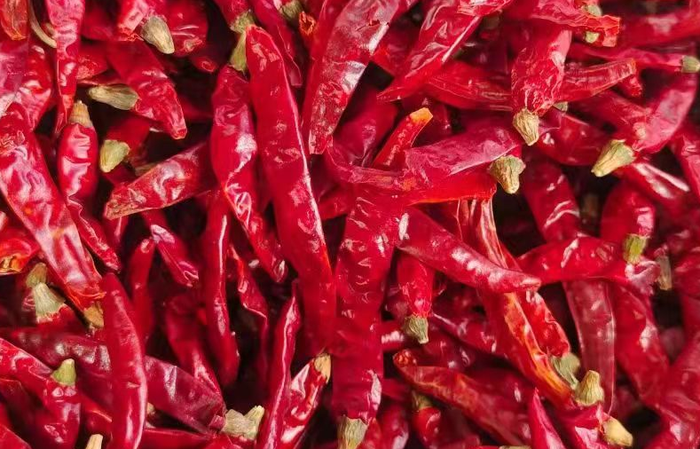 DRY RED CHILLI