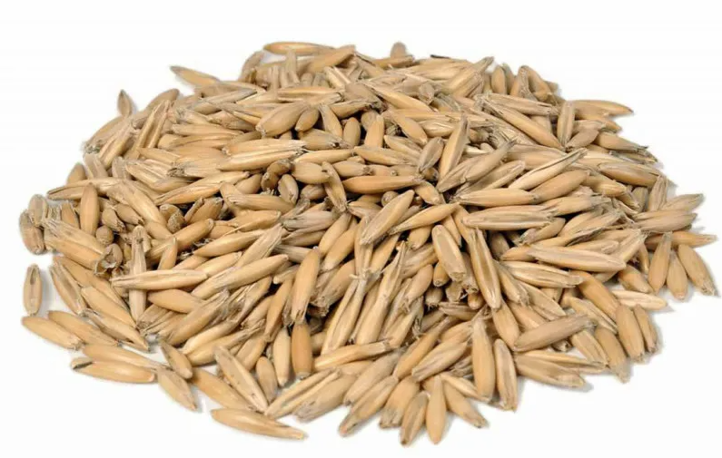 Oat