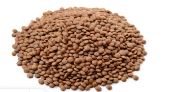 Red lentil